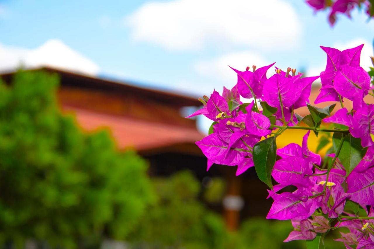 Rancho Guacamayos Hotel & Restaurantes Bonao Ngoại thất bức ảnh